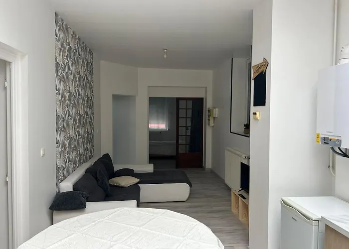 Appartement Rénové, Rdc, Proche Commodités